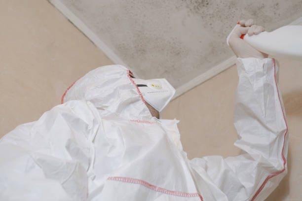 Best Office Mold Removal Services  in Harbor Hills, OH