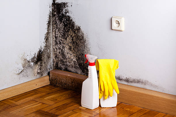 Best Mold Removal Process  in Harbor Hills, OH